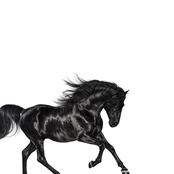 Old Town Road - Single Album Picture