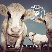 Steve'n'Seagulls: Grainsville