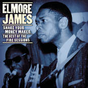 blues masters: the very best of elmore james