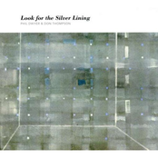 Look for the Silver Lining