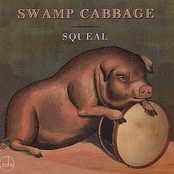 Feedbag by Swamp Cabbage