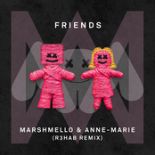 FRIENDS (R3hab remix)
