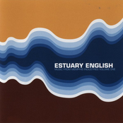 Estuary English: Music From Memphis Industries, Volume 1