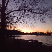 box art gloss glissando