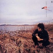 Inu, Akita Concert Live