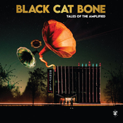 Black Cat Bone: Tales of the Amplified