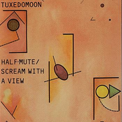 Volo Vivace by Tuxedomoon