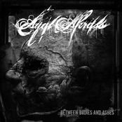 Between Bodies and Ashes