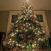 Christmas Single 2011