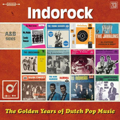 The Golden Years Of Dutch Pop Music - Indorock