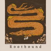 Rootbound