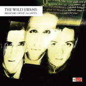 Now And Forever by The Wild Swans