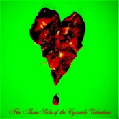 The Three Sides of the Cyanide Valentine