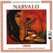 Gitano Flamenco by Narvalo