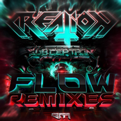 Flow (Remixes)