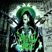 Our Perception Has Left you Disfigured