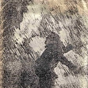 Organisation Orange 2