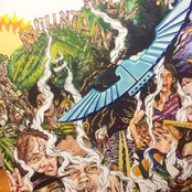 Frank Hurricane: Mountain Brew Light