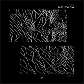 Noitada