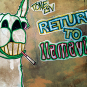 Return to Llamaville