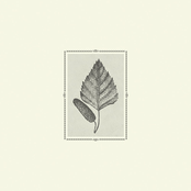 Terra Infinita (Extended Edition)