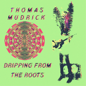 Thomas Mudrick: Dripping from the Roots