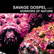 Horrors Of Nature