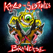 Kayzo - Braincase