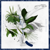 Adult Swim Singles Program 2014