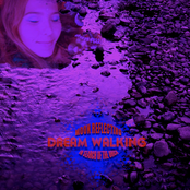 Dream Walking In Search of the Orca