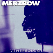 Slave New Desart by Merzbow