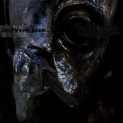 one year less appearances are wrong