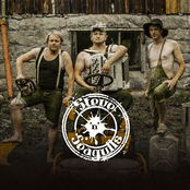 Steve'n'seagulls