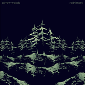 sorrow woods