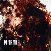 Hidralia by Defórmica