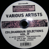 Coldharbour Selections Vol. 17