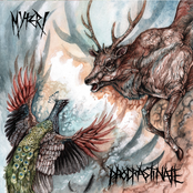 Split w/ Procrastinate