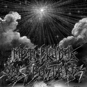 Ork Bastards / Meti Bhuvah