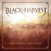 Sun Across The Fields