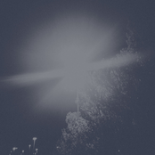 Suddenly I Remembered Your Hands