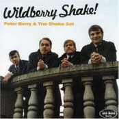 Wildberry Shake!