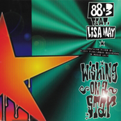 Wishing On A Star 1995
