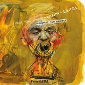 Podobnost Cisto Nahodna