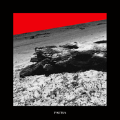 Paura