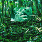 Aokigahara Accept
