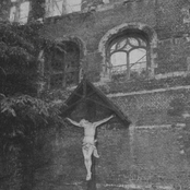 Never Never Quit (Demo)