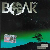 Стая