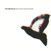 Not One Falls: Hide the Word 7