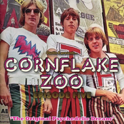 Cornflake Zoo Episode Five