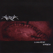 Schwarze Narben (2005)